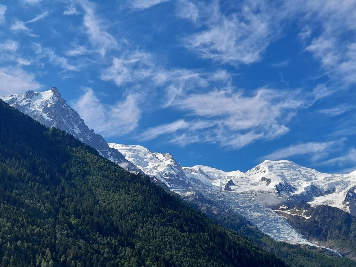 Апартаменты Le Petit Balcon Avec Vue Sur Le Mont-Blanc 2 Etoiles Шамони Экстерьер фото